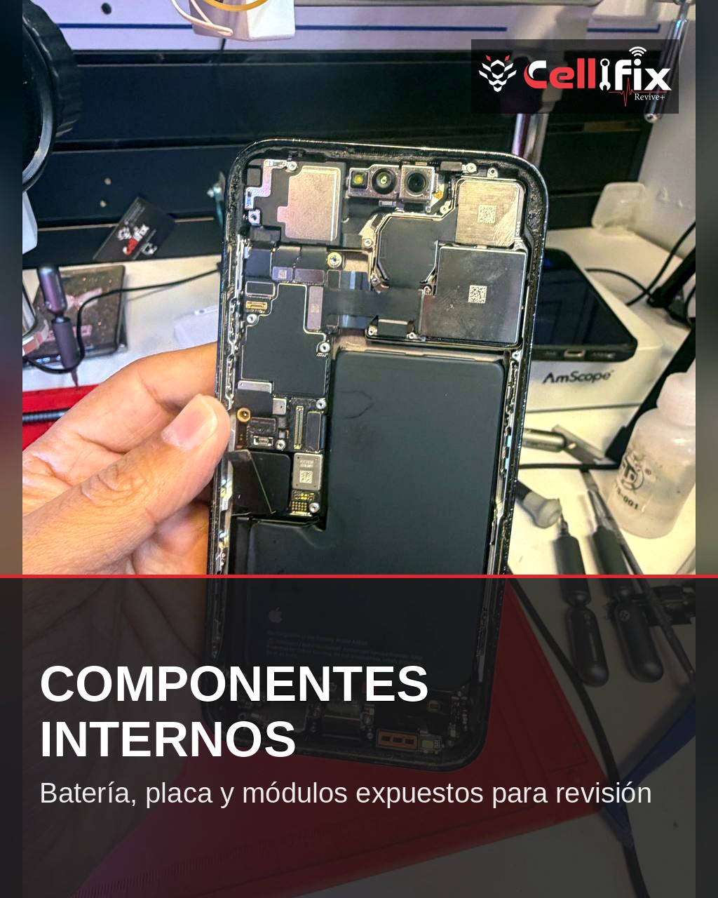 Historias de recuperación: cuando un iPhone parece perdido