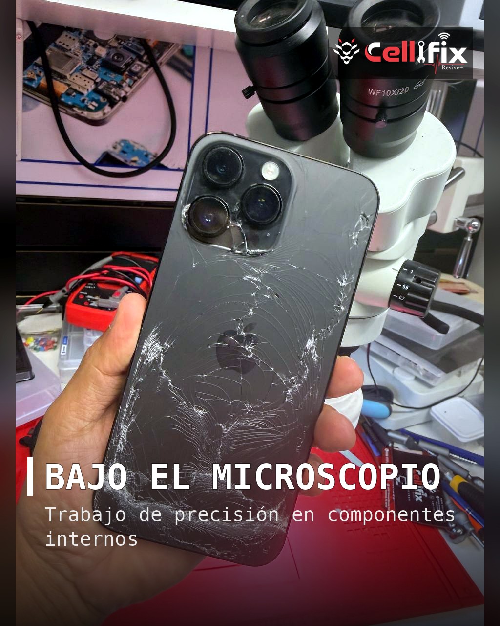 Del daño severo a la recuperación profesional