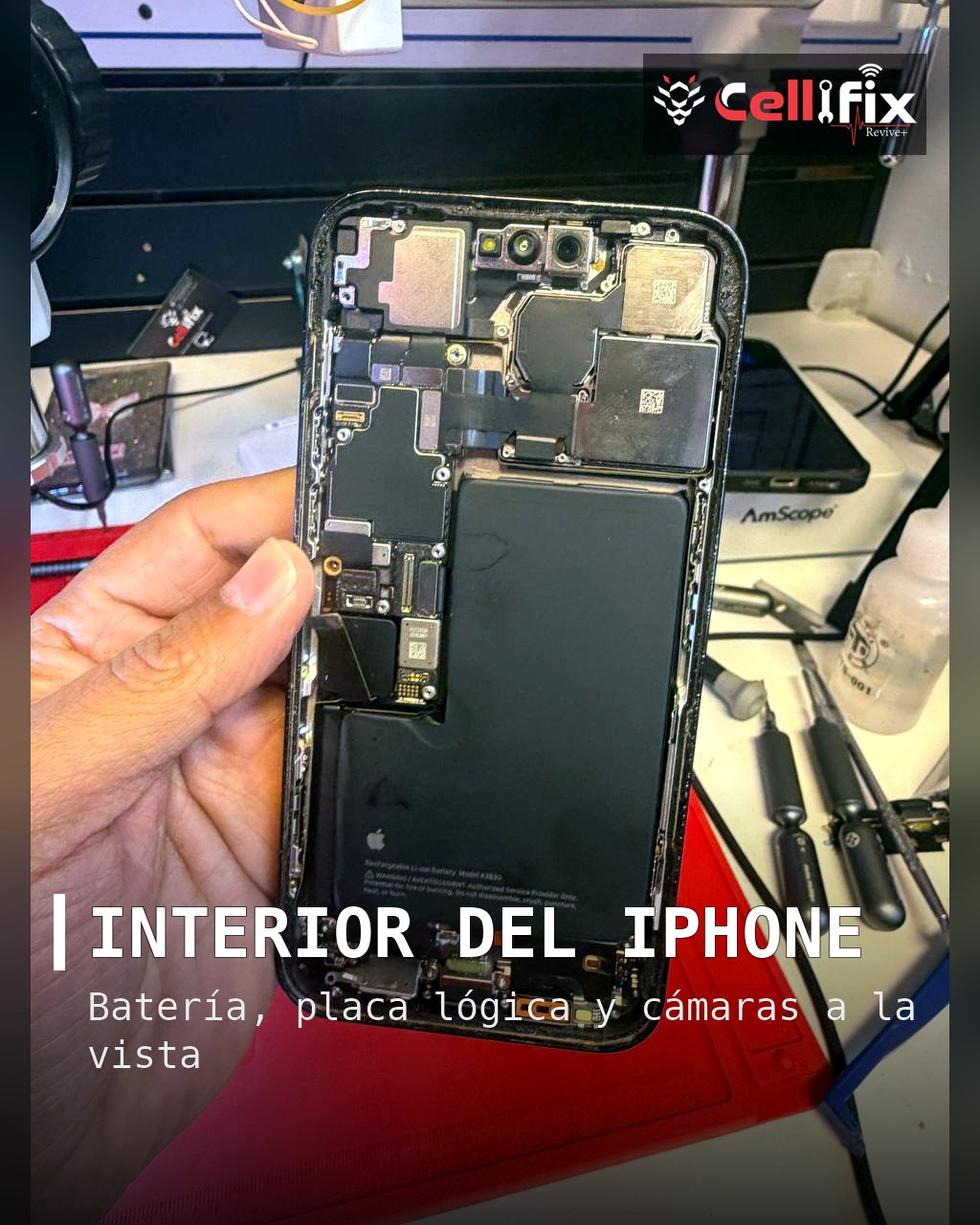 Del daño severo a la recuperación profesional